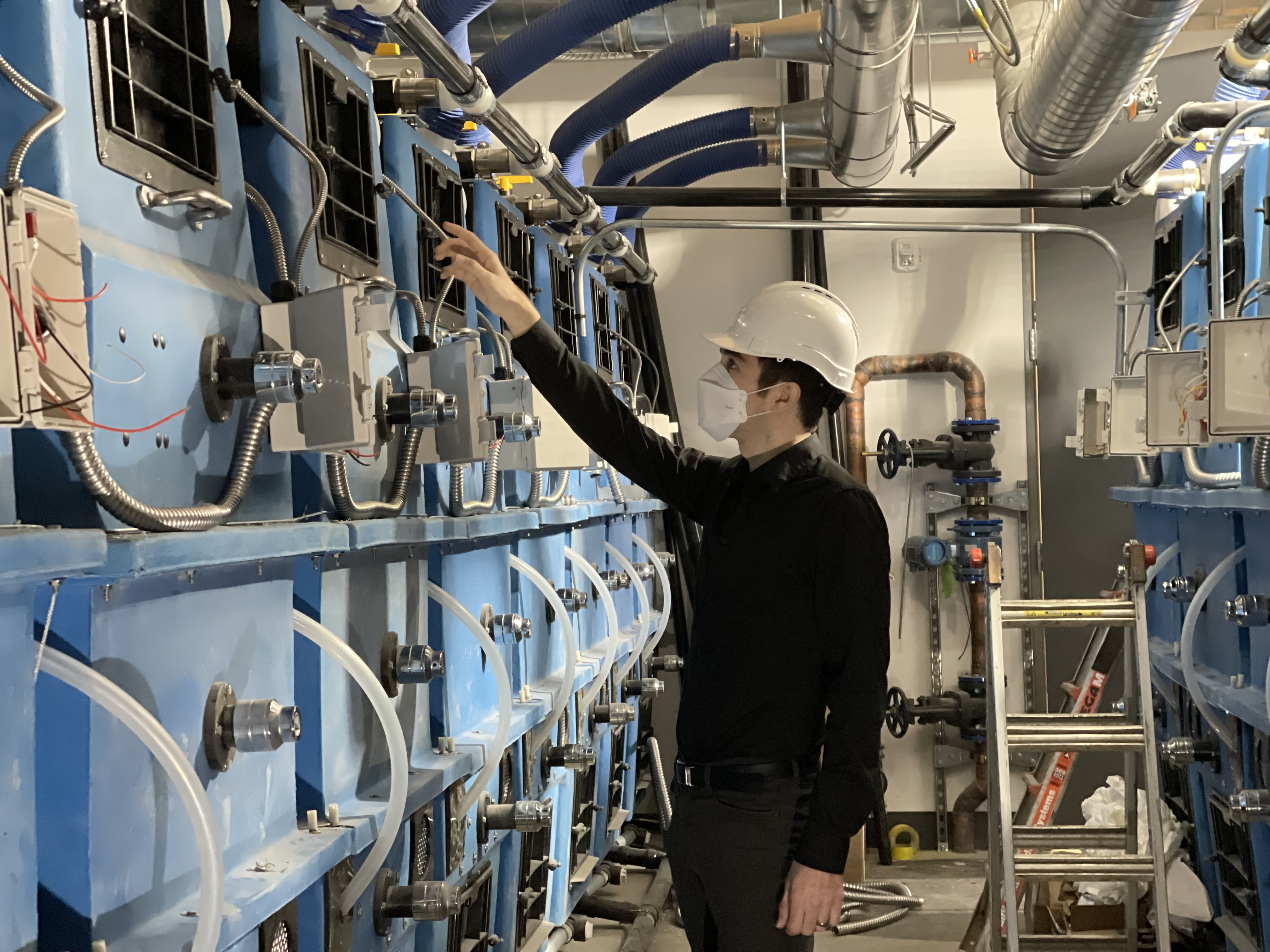 Water Petal | Composting